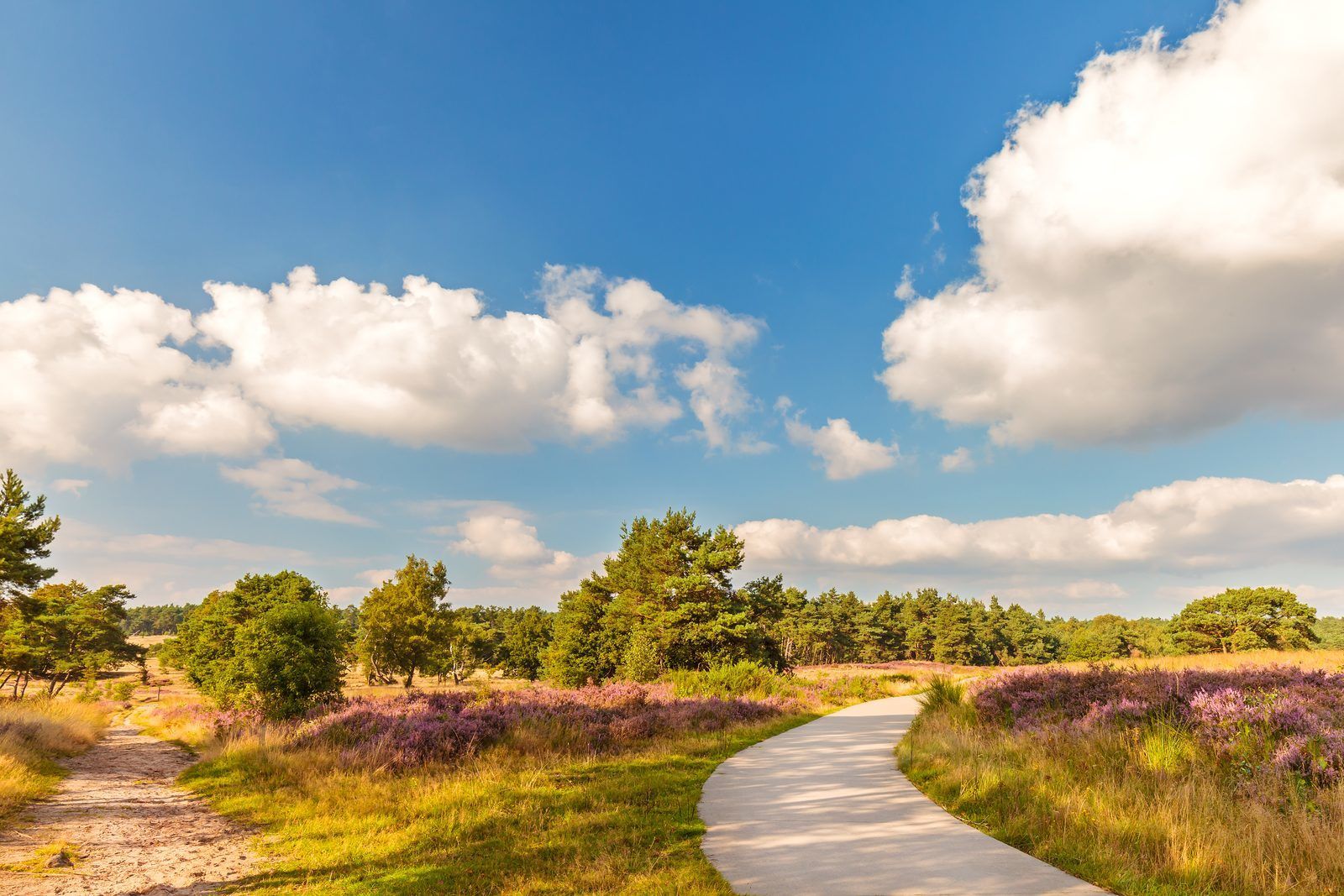 Klavertje Vier Veluwe