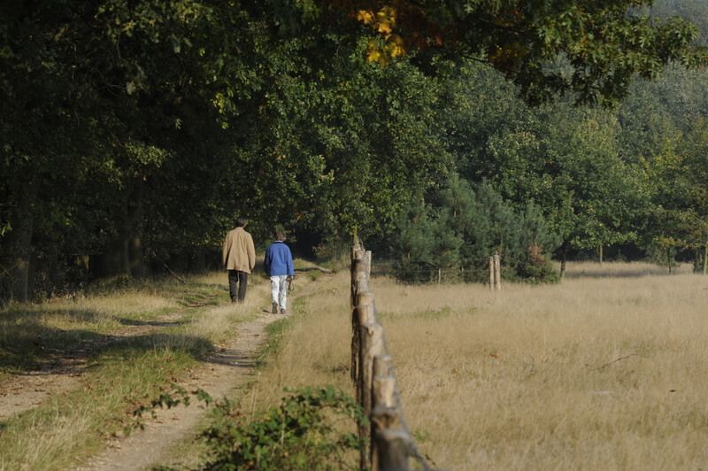 Bosrijk Roermond omgeving