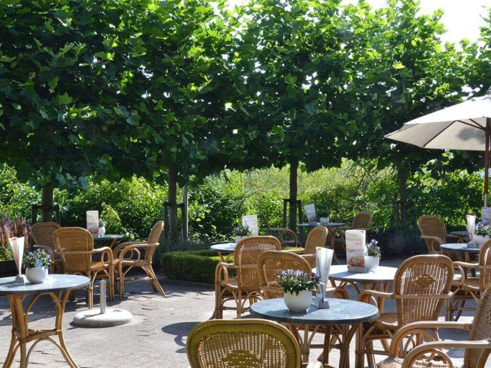 Hotel-Restaurant Carlton - terras