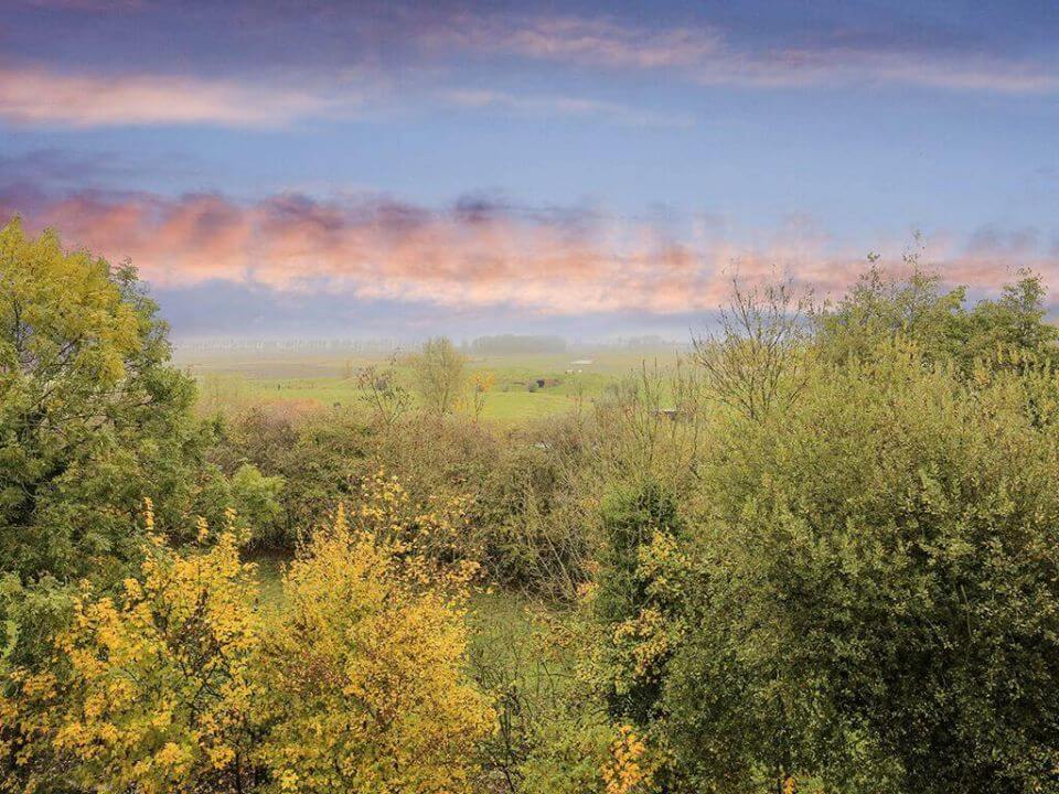 De Dikke van Dale - omgeving