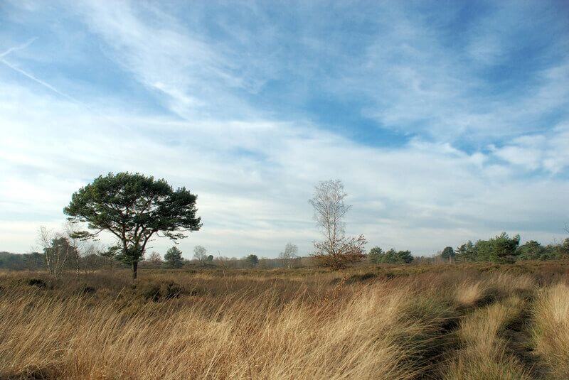 De Kempen omgeving