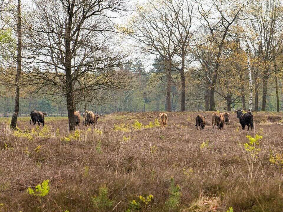 Hotel-Restaurant Oss omgeving