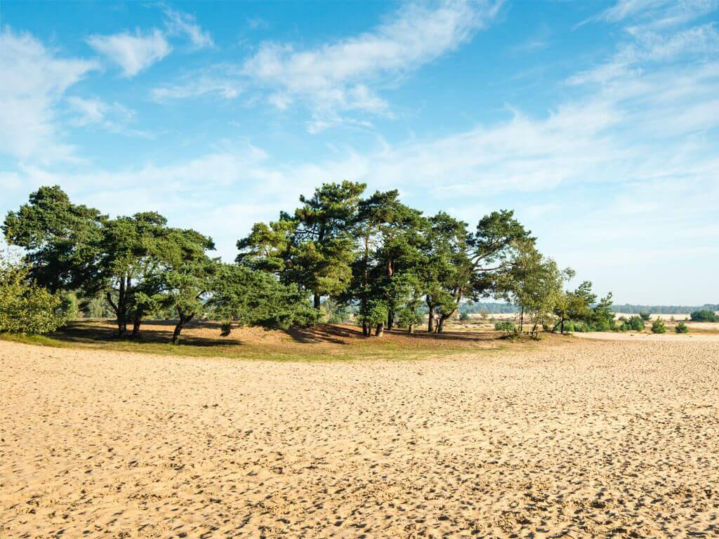 Hotel-Restaurant Prinsen - Loonse en Drunense Duinen