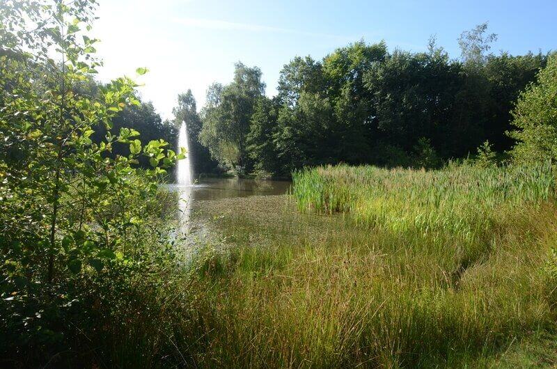 De Hunzebergen fontein