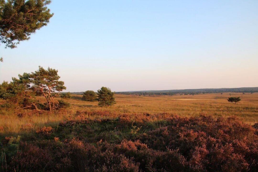 veluwe omgeving