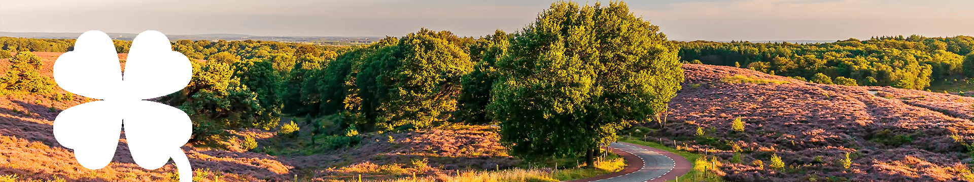 Klavertje Vier Veluwe