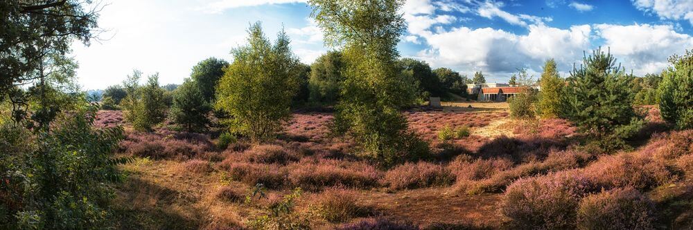 Klavertje Vier Drenthe